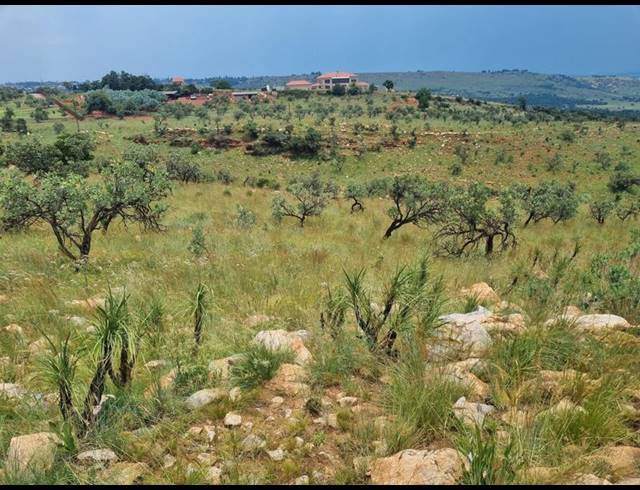 FARM FOR SALE IN PROTEA RIDGE